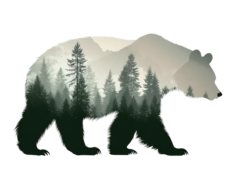Pixabay bear in forest illustration