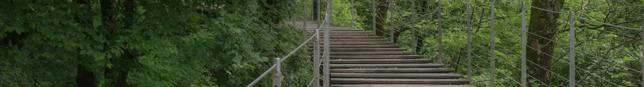 Stone steps leading up through a lush green forest, inviting a peaceful walk into nature