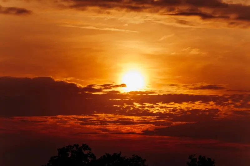 夕焼けに染まる空と、シルエットになった木々