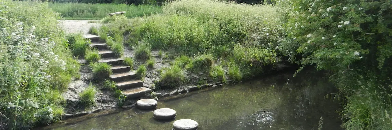 Stone steps crossing a gentle brook, leading to a sunlit clearing in the woods, symbolizing small steps toward motivation and clarity.